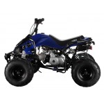 GMX The Beast Blue 110cc SPORTS Quad Bike