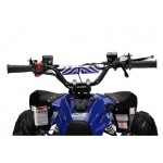 GMX The Beast Blue 110cc SPORTS Quad Bike