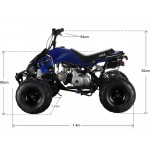 GMX The Beast Blue 110cc SPORTS Quad Bike