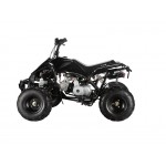 GMX The Beast Black 110cc Sports Quad Bike