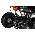 GMX The Beast Black 110cc Sports Quad Bike