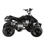 GMX The Beast Black 110cc Sports Quad Bike