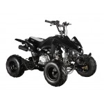 GMX The Beast Black 110cc Sports Quad Bike