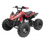 GMX The Beast Red 125cc SPORTS Quad Bike