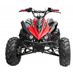 GMX The Beast Red 125cc SPORTS Quad Bike