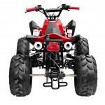 GMX The Beast Red 125cc SPORTS Quad Bike