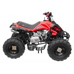 GMX The Beast Red 125cc SPORTS Quad Bike