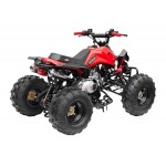 GMX The Beast Red 125cc SPORTS Quad Bike