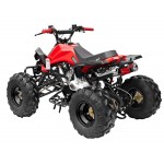 GMX The Beast Red 125cc SPORTS Quad Bike