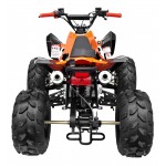 GMX The Beast Orange 125cc SPORTS Quad Bike