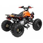 GMX The Beast Orange 125cc SPORTS Quad Bike