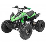 GMX The Beast Green 125cc SPORTS Quad Bike