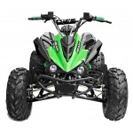 GMX The Beast Green 125cc SPORTS Quad Bike