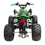 GMX The Beast Green 125cc SPORTS Quad Bike