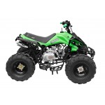 GMX The Beast Green 125cc SPORTS Quad Bike