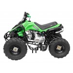 GMX The Beast Green 125cc SPORTS Quad Bike