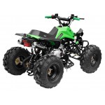 GMX The Beast Green 125cc SPORTS Quad Bike