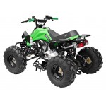 GMX The Beast Green 125cc SPORTS Quad Bike