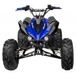 GMX The Beast Blue 125cc SPORTS Quad Bike