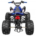 GMX The Beast Blue 125cc SPORTS Quad Bike