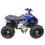 GMX The Beast Blue 125cc SPORTS Quad Bike