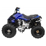 GMX The Beast Blue 125cc SPORTS Quad Bike