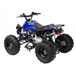 GMX The Beast Blue 125cc SPORTS Quad Bike