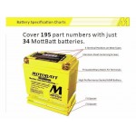 Motobatt MBTX20U Battery AGM with Quadflex Technology