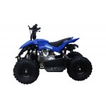 GMX Blue 60cc 4 Stroke Chaser Quad Bike