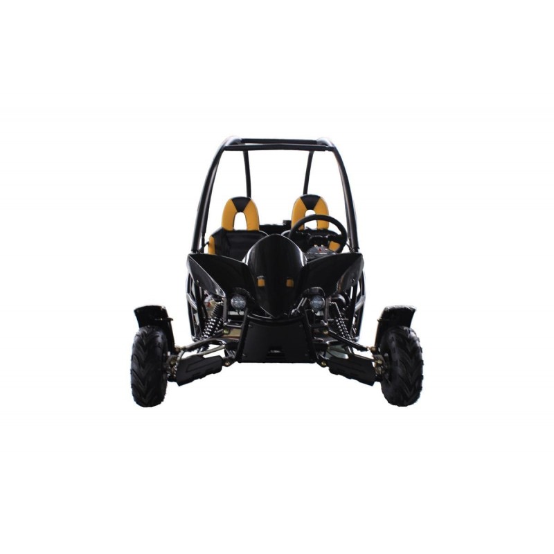110cc dune buggy sale