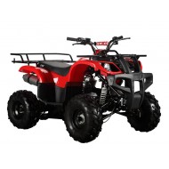 Farm Quad Bikes