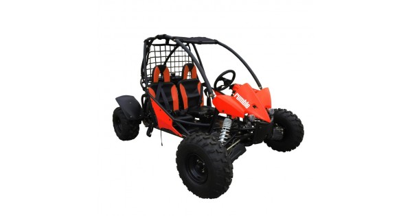 200cc buggy for sale 2025