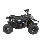 GMX 110cc Ripper-X Junior Kids Quad Bike - Black