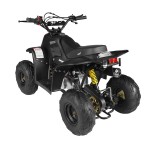 GMX 110cc Ripper-X Junior Kids Quad Bike - Black
