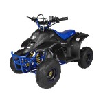 GMX 110cc Ripper-X Junior Kids Quad Bike - Black / Blue