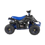 GMX 110cc Ripper-X Junior Kids Quad Bike - Black / Blue