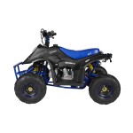 GMX 110cc Ripper-X Junior Kids Quad Bike - Black / Blue