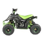 GMX 110cc Ripper-X Junior Kids Quad Bike - Black / Green