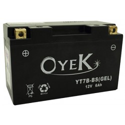 Oyek YTZ10S Gel AGM Maintenance Free Battery Qty Pr. Multi 4