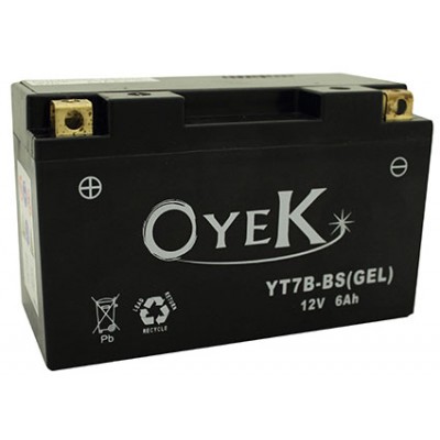 Oyek YTZ10S Gel AGM Maintenance Free Battery Qty Pr. Multi 4