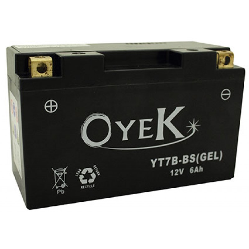 Oyek YB4L-A Gel AGM Maintenance Free Battery Qty Pr. Multi 8
