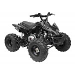 GMX The Beast Black 125cc SPORTS Quad Bike