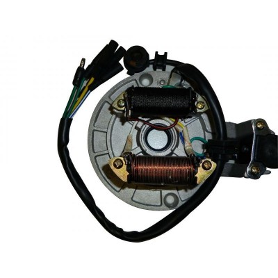 GMX 125cc Dirt Bike Magneto