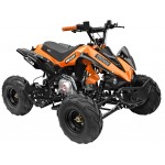 GMX The Beast Orange 110cc SPORTS Quad Bike