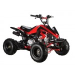 GMX The Beast Red 110cc SPORTS Quad Bike