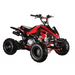 GMX The Beast Red 110cc SPORTS Quad Bike