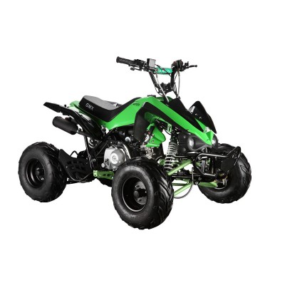 GMX The Beast Green 110cc SPORTS Quad Bike