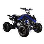 GMX The Beast Blue 110cc SPORTS Quad Bike