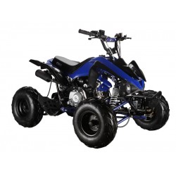 GMX The Beast Blue 110cc SPORTS Quad Bike