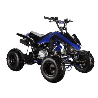 GMX The Beast Blue 110cc SPORTS Quad Bike